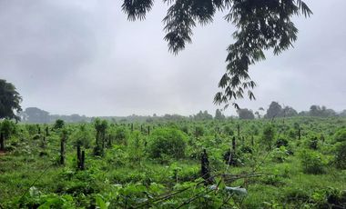 SE VENDE HERMOSA HACIENDA GANADERA 290 HAS. EN PRODUCCIÓN, CON ESTACION DE SERVICIO (GASOLINERA) LUZ DE AMERICA – SANTO DOMINGO DE LOS TSACHILAS - ECU