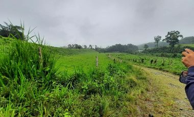 SE VENDE HERMOSA HACIENDA GANADERA 290 HAS. EN PRODUCCIÓN, CON ESTACION DE SERVICIO (GASOLINERA) LUZ DE AMERICA – SANTO DOMINGO DE LOS TSACHILAS - ECU