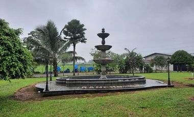 SE VENDE HERMOSA HACIENDA GANADERA 290 HAS. EN PRODUCCIÓN, CON ESTACION DE SERVICIO (GASOLINERA) LUZ DE AMERICA – SANTO DOMINGO DE LOS TSACHILAS - ECU