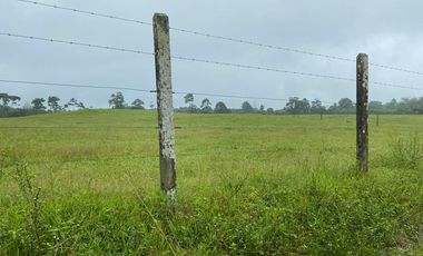 SE VENDE HERMOSA HACIENDA GANADERA 290 HAS. EN PRODUCCIÓN, CON ESTACION DE SERVICIO (GASOLINERA) LUZ DE AMERICA – SANTO DOMINGO DE LOS TSACHILAS - ECU