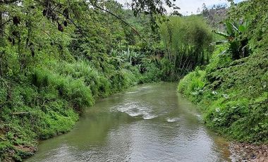 SE VENDE HERMOSA FINCA CON MELINA, 66 HECTAREAS, A FILO DE LA PANAMERICANA,  CHUCAPLE - QUININDE – ESMERALDAS - ECUADOR