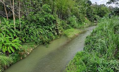 SE VENDE HERMOSA FINCA CON MELINA, 66 HECTAREAS, A FILO DE LA PANAMERICANA,  CHUCAPLE - QUININDE – ESMERALDAS - ECUADOR