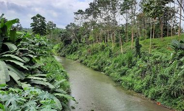 SE VENDE HERMOSA FINCA CON MELINA, 66 HECTAREAS, A FILO DE LA PANAMERICANA,  CHUCAPLE - QUININDE – ESMERALDAS - ECUADOR