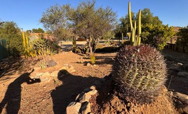 VENTA complejo turístico STOMMELN sector Recoleta, Ovalle