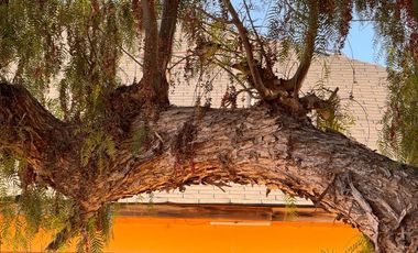 VENTA complejo turístico STOMMELN sector Recoleta, Ovalle