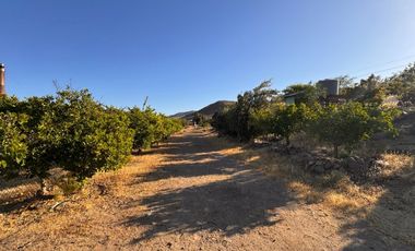 VENTA complejo turístico STOMMELN sector Recoleta, Ovalle