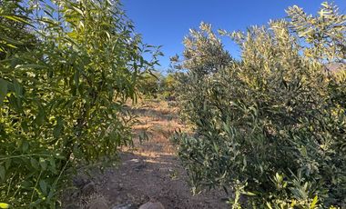 VENTA complejo turístico STOMMELN sector Recoleta, Ovalle