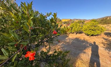 VENTA complejo turístico STOMMELN sector Recoleta, Ovalle