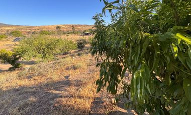 VENTA complejo turístico STOMMELN sector Recoleta, Ovalle