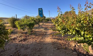 VENTA complejo turístico STOMMELN sector Recoleta, Ovalle