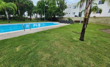 Jardines del sur 5