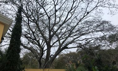 CASA EN VENTA, 1280 MTS FRACC DON VENTURA, SAN FERNANDO, CHIAPAS