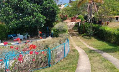 VENTA HERMOSA PARCELA A 12 MINUTOS DEL AEREOPUERTO PALO NEGRO - LEBRIJA