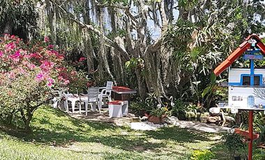 VENTA HERMOSA PARCELA A 12 MINUTOS DEL AEREOPUERTO PALO NEGRO - LEBRIJA