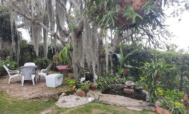 VENTA HERMOSA PARCELA A 12 MINUTOS DEL AEREOPUERTO PALO NEGRO - LEBRIJA