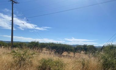 VERIDICA Ltda VENDE CAMPO en Lolol $1.440.000.000