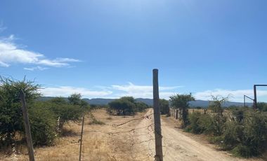 VERIDICA Ltda VENDE CAMPO en Lolol $1.440.000.000
