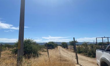 VERIDICA Ltda VENDE CAMPO en Lolol $1.440.000.000