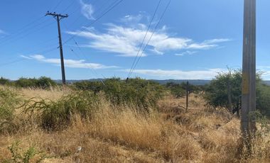 VERIDICA Ltda VENDE CAMPO en Lolol $1.440.000.000