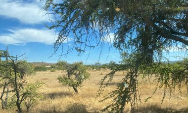 VERIDICA Ltda VENDE CAMPO en Lolol $1.440.000.000