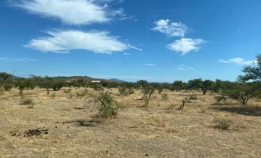 VERIDICA Ltda VENDE CAMPO en Lolol $1.440.000.000