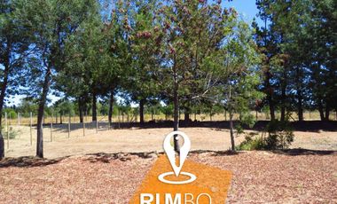 Casa nueva en parcela Villarrica - Puquereo