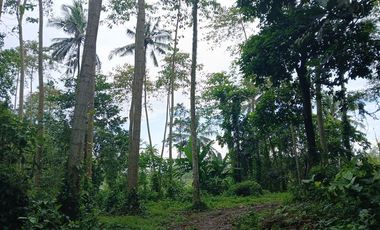RICE FIELD AND RIVER VIEW LAND FOR LEASE IN SINGAKERTA - UBUD - BALI