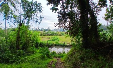 RICE FIELD AND RIVER VIEW LAND FOR LEASE IN SINGAKERTA - UBUD - BALI