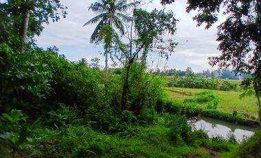 RICE FIELD AND RIVER VIEW LAND FOR LEASE IN SINGAKERTA - UBUD - BALI