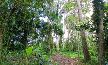 RICE FIELD AND RIVER VIEW LAND FOR LEASE IN SINGAKERTA - UBUD - BALI