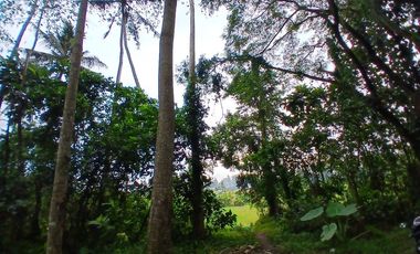 RICE FIELD AND RIVER VIEW LAND FOR LEASE IN SINGAKERTA - UBUD - BALI