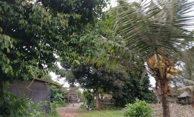 RICE FIELD AND RIVER VIEW LAND FOR LEASE IN SINGAKERTA - UBUD - BALI