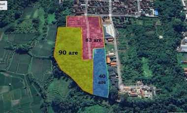 RICE FIELD AND RIVER VIEW LAND FOR LEASE IN SINGAKERTA - UBUD - BALI