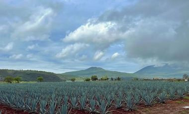 Venta de casa en exclusivo Fraccionamiento Reserva de los Encinos Teuchitlan   $9,500,000