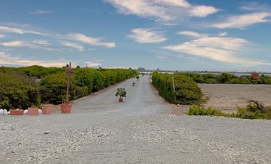 Venta de Terreno De 1000 M2 Independizado En Cañete