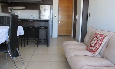 DEpartamento amoblado marzo a diciembre 2d 2b frontal a la playa
