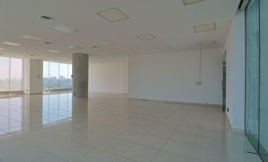 OFICINA EN RENTA EN ZONA ANDARES. TORRE CELTIS.PISO 16