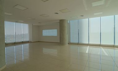 OFICINA EN RENTA EN ZONA ANDARES. TORRE CELTIS.PISO 16