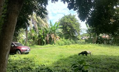 LOT FOR SALE IN DUMAGUETE CITY ID 14960