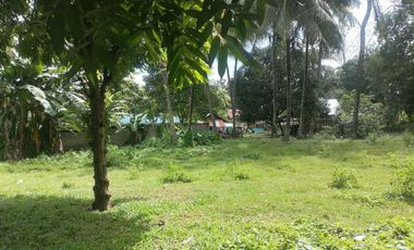 LOT FOR SALE IN DUMAGUETE CITY ID 14960