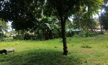 LOT FOR SALE IN DUMAGUETE CITY ID 14960