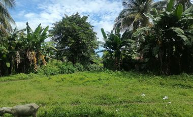 LOT FOR SALE IN DUMAGUETE CITY ID 14960