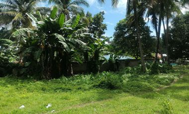 LOT FOR SALE IN DUMAGUETE CITY ID 14960