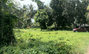 LOT FOR SALE IN DUMAGUETE CITY ID 14960