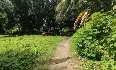 LOT FOR SALE IN DUMAGUETE CITY ID 14960