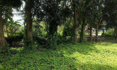 LOT FOR SALE IN DUMAGUETE CITY ID 14960