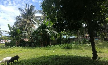 LOT FOR SALE IN DUMAGUETE CITY ID 14960