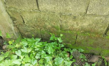 LOT FOR SALE IN DUMAGUETE CITY ID 14960