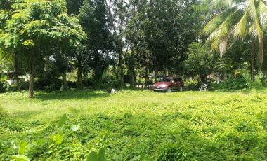 LOT FOR SALE IN DUMAGUETE CITY ID 14960
