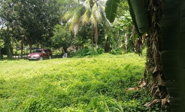 LOT FOR SALE IN DUMAGUETE CITY ID 14960